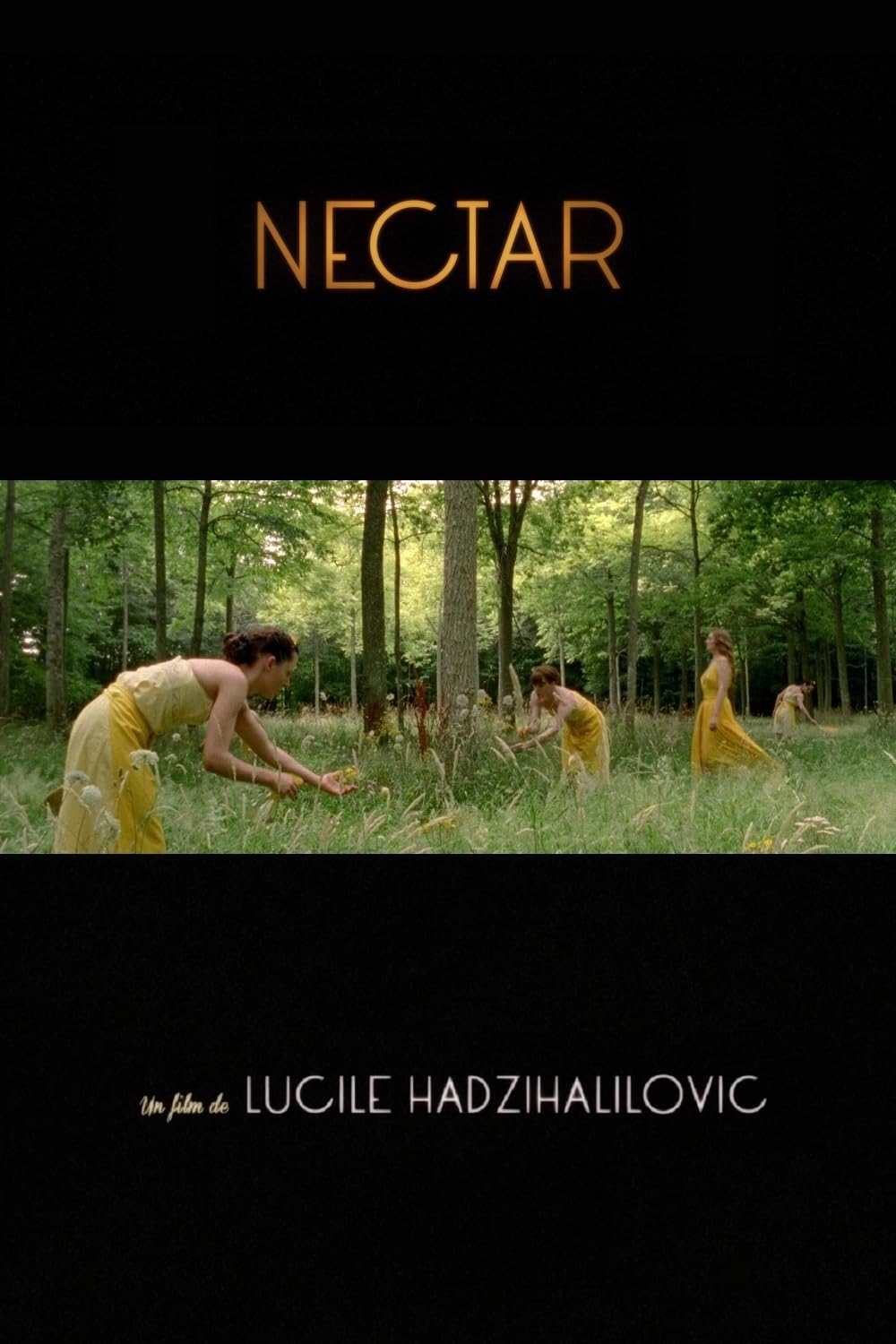 Poster of Nectar movie
