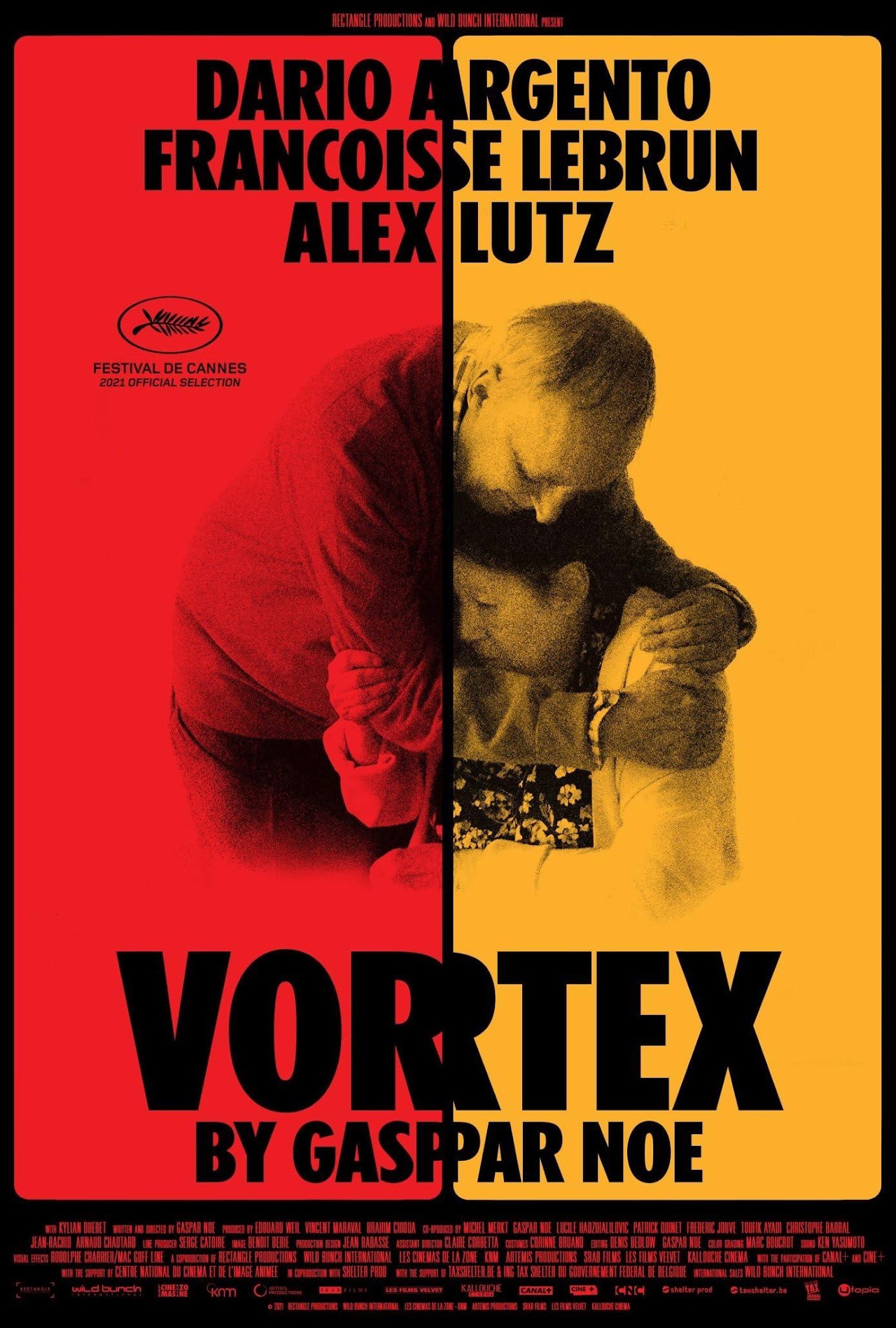 Poster of Vortex movie